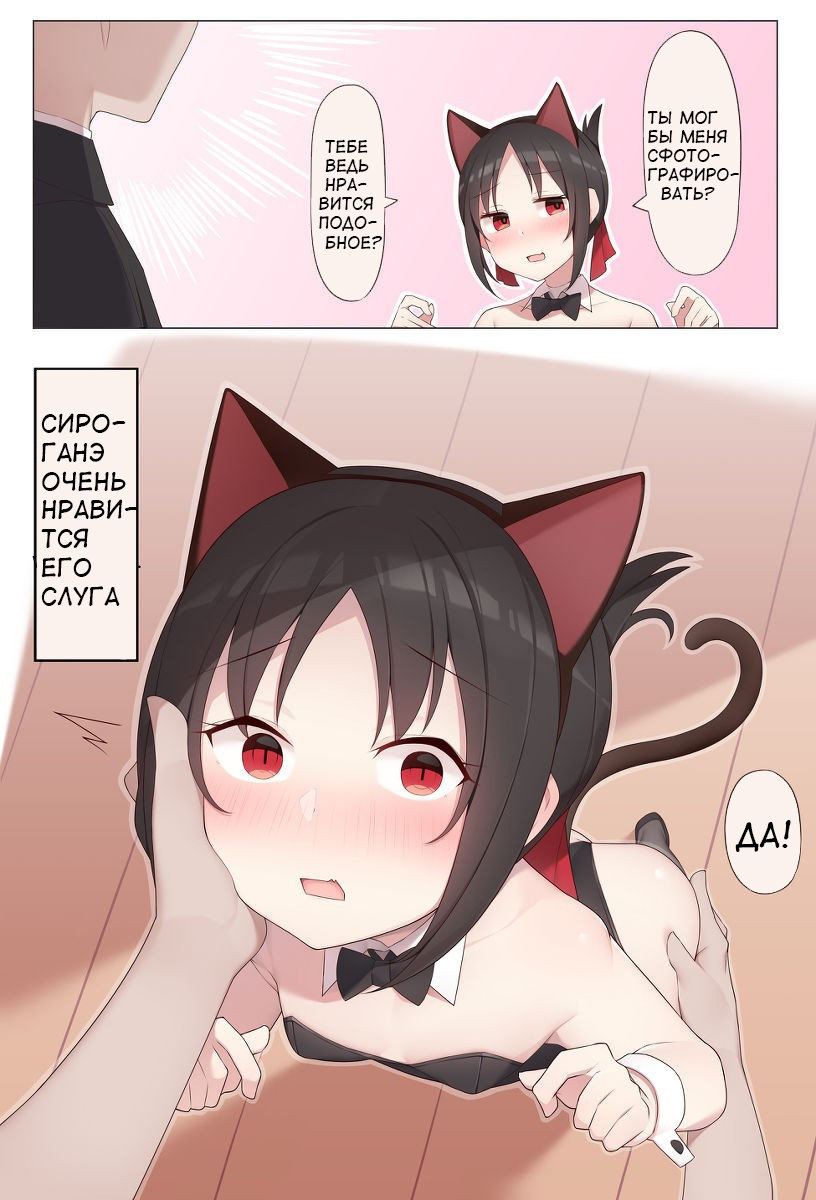 Читаем Порно манга Nekomimi no Kaguya-sama - - онлайн на русском. Глава 1 -  AllHentai